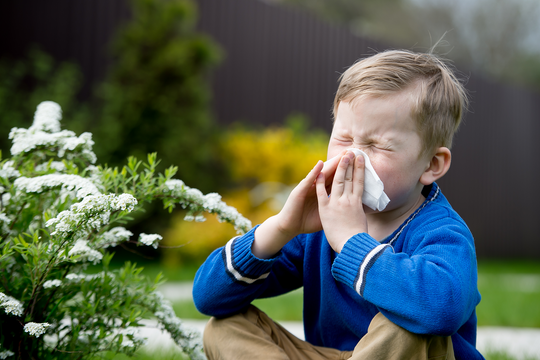 How to Reduce Spring Allergies